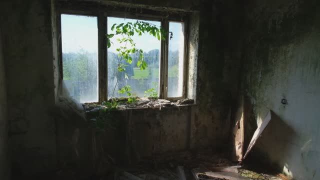 Заброшенный пионерский лагерь 