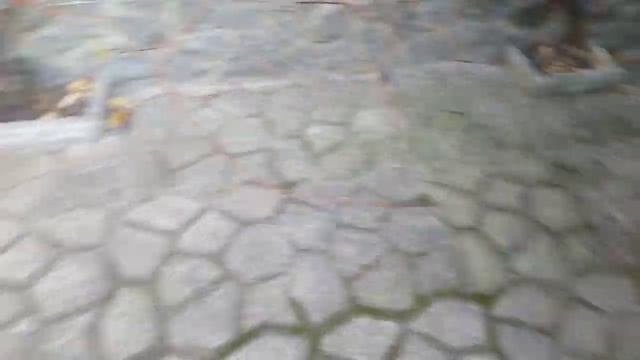 Форма садовая дорожка. Сколько она выдержит?!