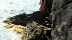 Ева Польна - Рыбка