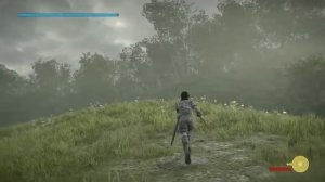 (PS4)Shadow of the Colossus