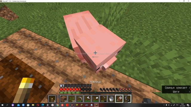 ПОСТРОИЛ ОГРОМНЫЙ ЗООПАРК В МАЙНКРАФТЕ! Часть 1 из 4 смотреть онлайн