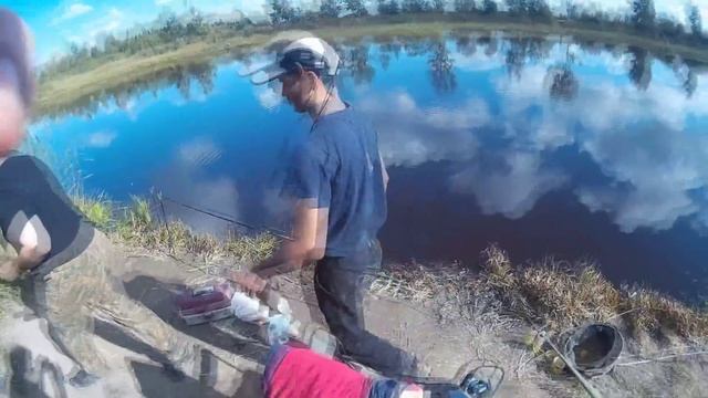 Фидерная рыбалка в Загубье. Караси.