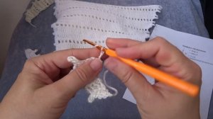 Вязание бактуса. Как связать крючком бактус .