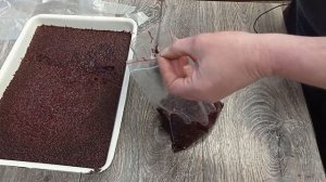 Заморозка мотыля Замороженный корм для рыбок