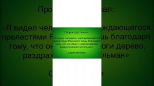ПАЙГАМБАРЛАР ТАРИХИ 9 - Иброхим алайхиссалом киссаси 2 кисм