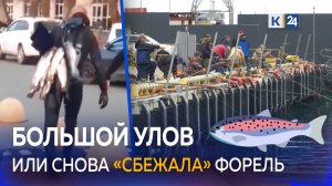 ?Форелевое безумие: в Сочи рыбаки пытаются поймать в море «сбежавшую» рыбу