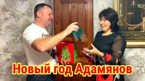 Новый Год Адамянов. Обзор "Семьи Адамян" (озвучен своим не изменённым голосом)