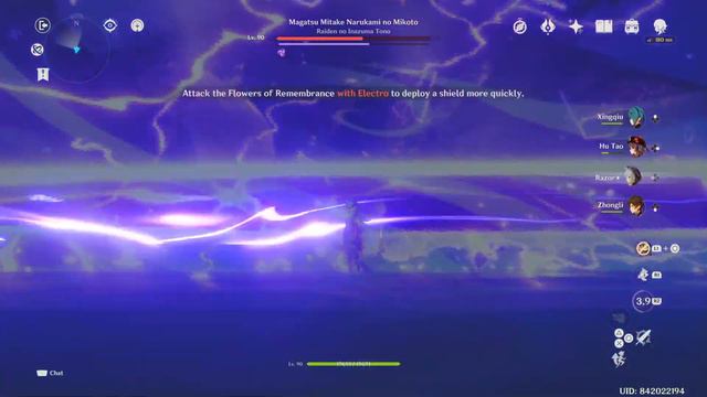 Genshin Impact 2.5 Boss Raiden Makoto