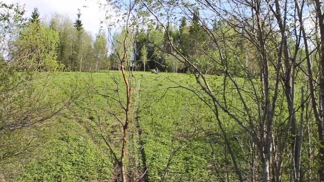 POMOR X2 против Крутой Горы смотреть онлайн