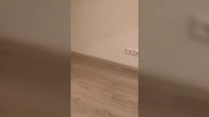 Дали квартиру. Программа реновации в Москве. Часть 1. Осмотр квартиры. Что не так с квартирой ?