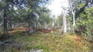 80 дней в тайге. Пушной промысел. Видеодневник. Часть 2