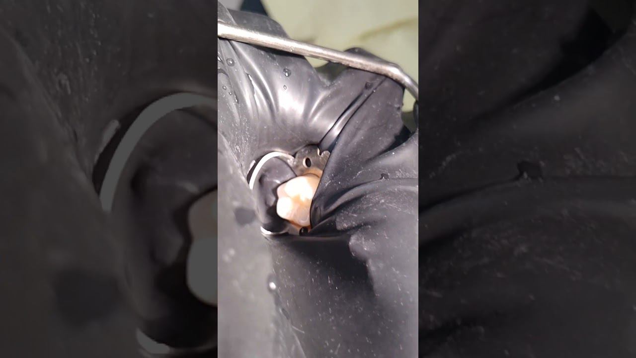 Single isolation 36 tooth. #cofferdamrubber #rubberdam #rubberdamology