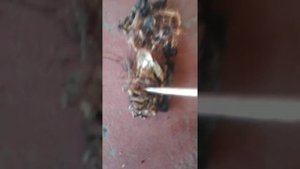 что внутри катушки зажигания таета 90919-02216