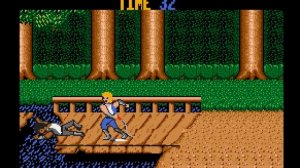 Double Dragon Longplay (Amiga) [50 FPS]