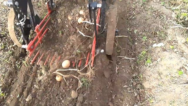 Картофелекопалка и мотоблок Ока . Копаем картофель. смотреть онлайн