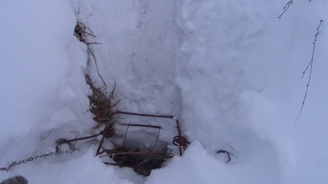 Охота на бобра зимой,ставим КП на вылазах!!! смотреть онлайн