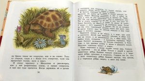 Рассказ для детей « Черепаха» - читаем вслух. Лев Толстой