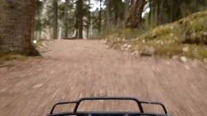 Гонки на багги HSP Breaker db 4wd в лесу