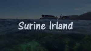 Подводный мир Таиланда. Пхукет.