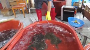 АЗИАТСКИЙ РЫБНЫЙ БАЗАР.