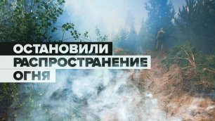Тушение лесного пожара в Красноярском крае
