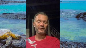 ПерепроШивка Онлайн. День 1 | Дмитрий Хара. Вечерний прямой эфир «Привычка быть счастливым».