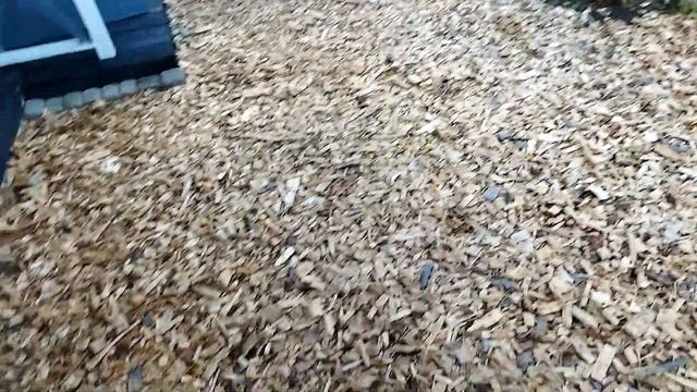 #ДАЧА#Каркасная баня#буронабивные сваи и обвязка