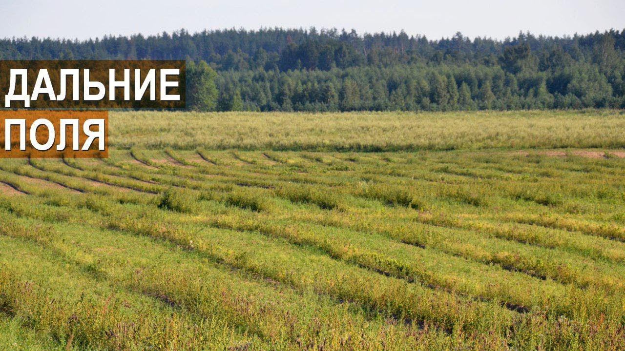 Ооо озёрный край. Дальнее поле. Тульская область щекинский район поселок пришня. Село красная поляна ростовская область. Пришня тульская область.