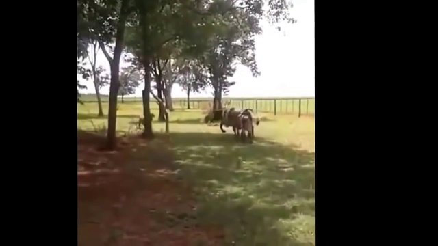 Размер_не_имеет_значения...