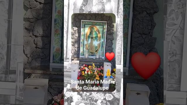 santa maría virgen de Guadalupe ⚘️⚘️⚘️⚘️