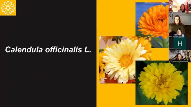 Garden Therapy at Bogdan Khmelnitsky Melitopol State Pedagogical University. смотреть онлайн