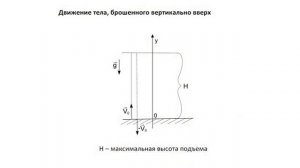 ЕГЭ, физика. Четвертый урок. Свободное падение, движение тела, брошенного вертикально вверх..