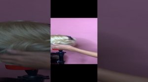 1. Быстрая прическа