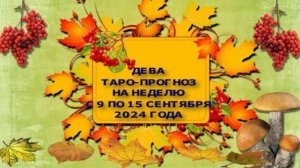 ДЕВА ТАРО-ПРОГНОЗ НА НЕДЕЛЮ С 9 ПО 15 СЕНТЯБРЯ 2024 ГОДА