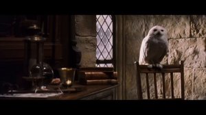 Harry Potter and the Philosopher's Stone - christmas at Hogwarts (HD)