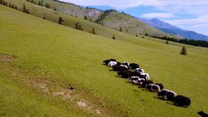 Восточные Саяны