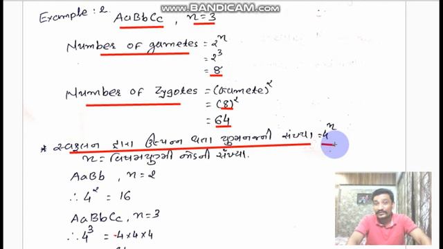Chapetr 5 Principles of Inheritance and Variation Part 12 смотреть онлайн