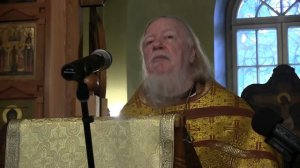 Проповедь на 4-ю неделю по Пятидесятнице (28 июня 2015 года). Дмитрий Смирнов