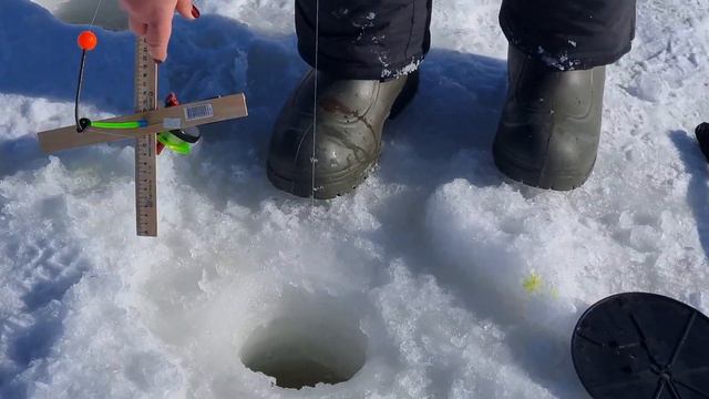 1 марта 2023 г. смотреть онлайн