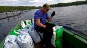ФОРЕЛЕВОЕ ХОЗЯЙСТВО. КАРЕЛИЯ. БУДНИ РЫБОВОДА
