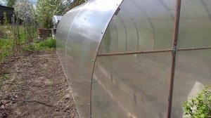 Что посадить в саду? Плодовые деревья и кустарники.