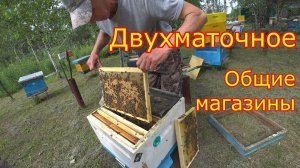 ДВУХМАТОЧНОЕ! Ставим общие магазины  РАСШИРЕНИЕ!