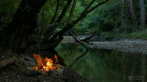 Костер в лесу, течение реки, звуки природы, пение птиц расслабляющие звуки