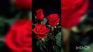 "ЕСЛИ Я ГОВОРЮ ЯЗЫКАМИ ЧЕЛОВЕЧЕСКИМИ  И АНГЕЛЬСКИМИ, А ЛЮБВИ НЕ ИМЕЮ,ТО Я -МЕДЬ ЗВЕНЯЩАЯ"....