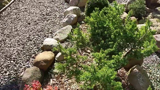 Прогулка по саду (8 августа 2023 г.) смотреть онлайн