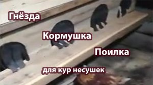 Гнезда кормушка и поилка для кур несушек своими руками.