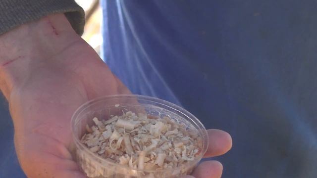 рыбалка в апреле 2023,поплавок, плотва поперла смотреть онлайн