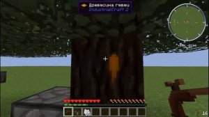 2 серия:Саженец гевеи в Industrial Craft 2 Experimental