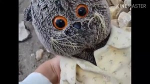 Прогулка с Басиком