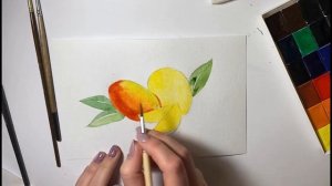 Акварель для начинающих. Как нарисовать МАНГО. Рисуем фрукты акварелью
